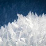 けものフレンズ9話感想その3：かばんちゃん、サーバルと初めての雪